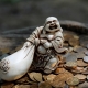 Hotei: mga katangian, varieties, mga tip sa application