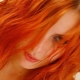 Red hair color: palette of shades