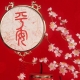 Feng Shui Talismans at Charms: Appointment, Tips for Choosing
