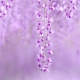 Ano ang ibig sabihin ng kulay ng lilac sa sikolohiya?