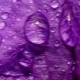 Ano ang ibig sabihin ng kulay na purple sa sikolohiya?