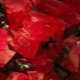 Rhodochrosite: description, properties and varieties