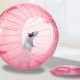 Ball for the hamster: the requirements and features of choice