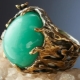 Lahat ng tungkol sa chrysoprase bato