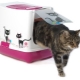 All about carrying for cats