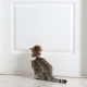 What to do so that the cats do not mark the front door?