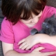 How to raise a kitten?