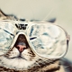 How do cats see our world?