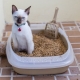 How to choose and use a tray with a lattice for cats?