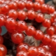 Red agate: paglalarawan at saklaw