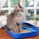 Corn filler for cat toilet