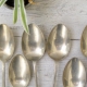 Melchior spoons: kung ano ito, benepisyo at pinsala