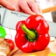 Tefal knives: features and review of models