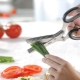 Green scissors: description and selection