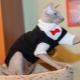 Clothes for cats: what happens and how to teach a cat to it?