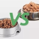 Wet and dry food: how best to feed a cat?