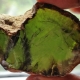 Green amber: ano ito, mga katangian, pagpili at pangangalaga