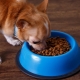 Premium dog food