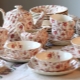 Provence style dishes: interesting options and features of choice