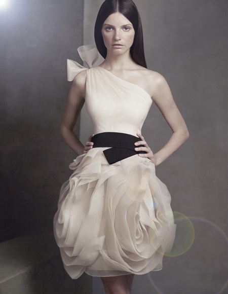 Maikling kasal damit Vera Wang